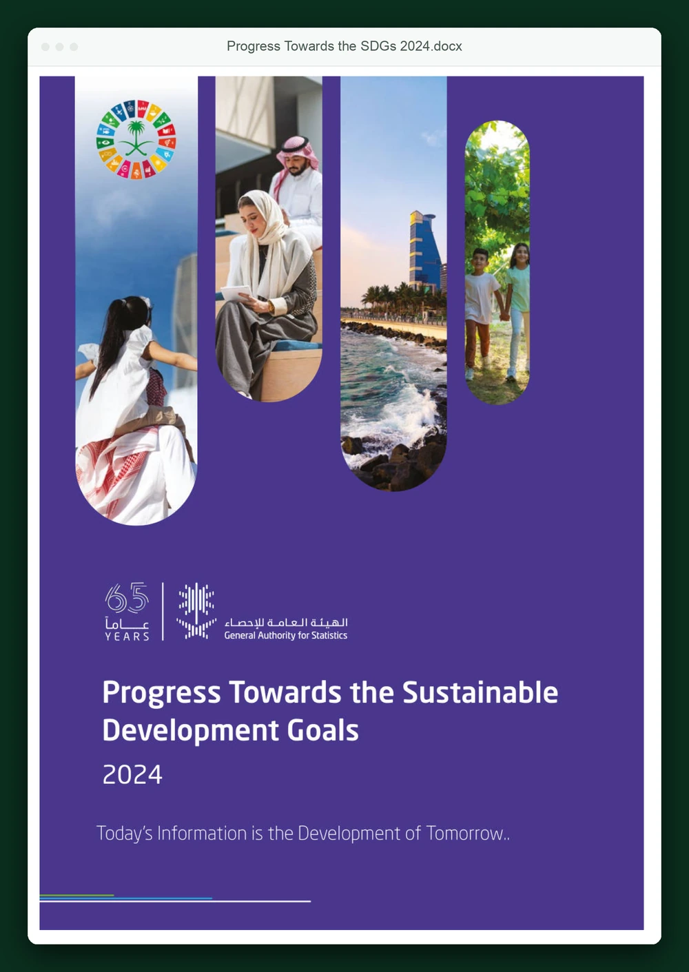 Progress Towards the Sustainable Development Goals 2024, generated as a Word report